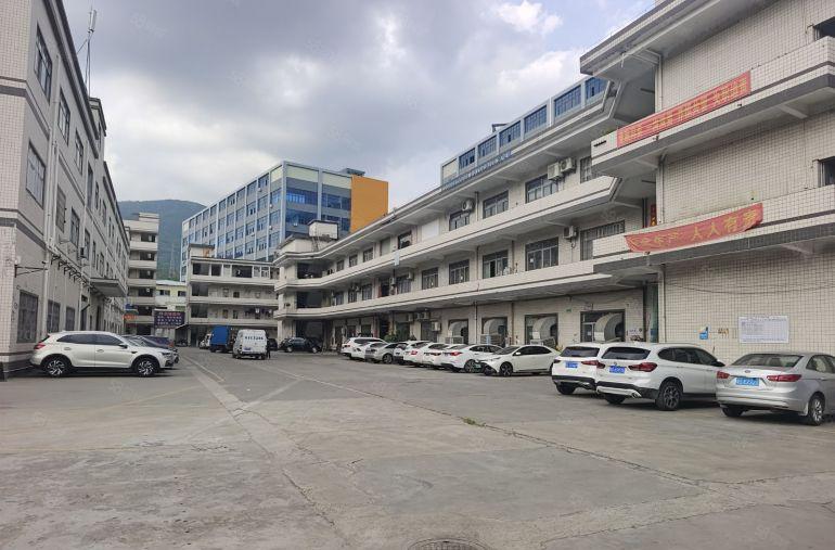 清溪浮岗新出3楼1238平精装修厂房出租，主干道边空地大