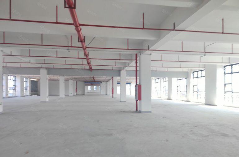 清溪厂房青皇超大空地全新厂房40000平出租可分租