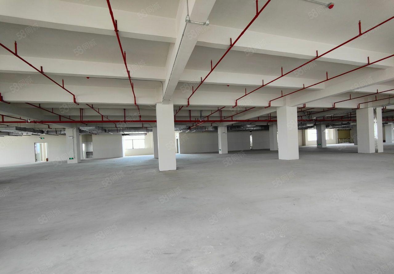 清溪镇原房东独门独院标准厂房出租，园区证件齐全，超大空地