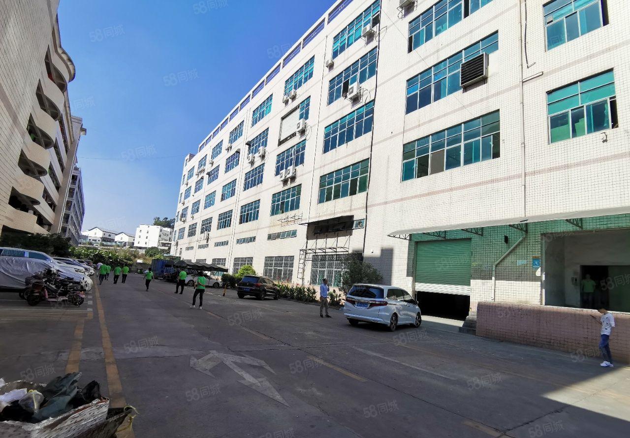 清溪上元工业区原房东楼上1600平红本标准仓库厂房出租可分租