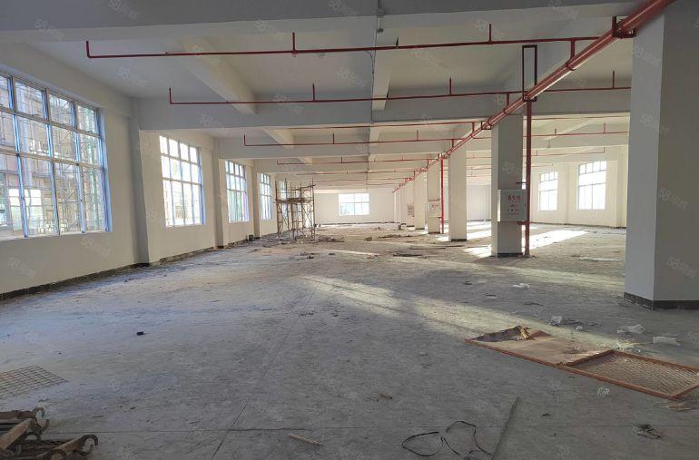 清溪三中新出成熟园区全新一楼厂房1200平低价出租 带牛角