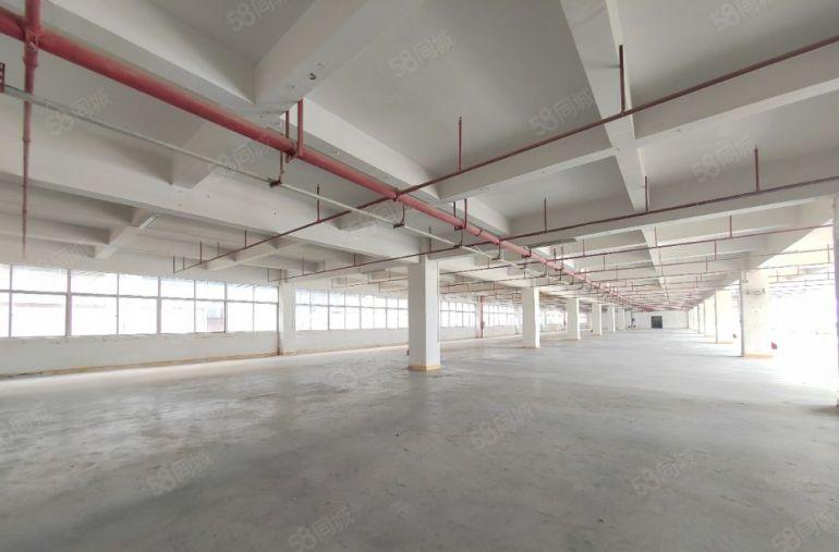 高新产业园，国有红本双证齐全，整层2500平，可分租！