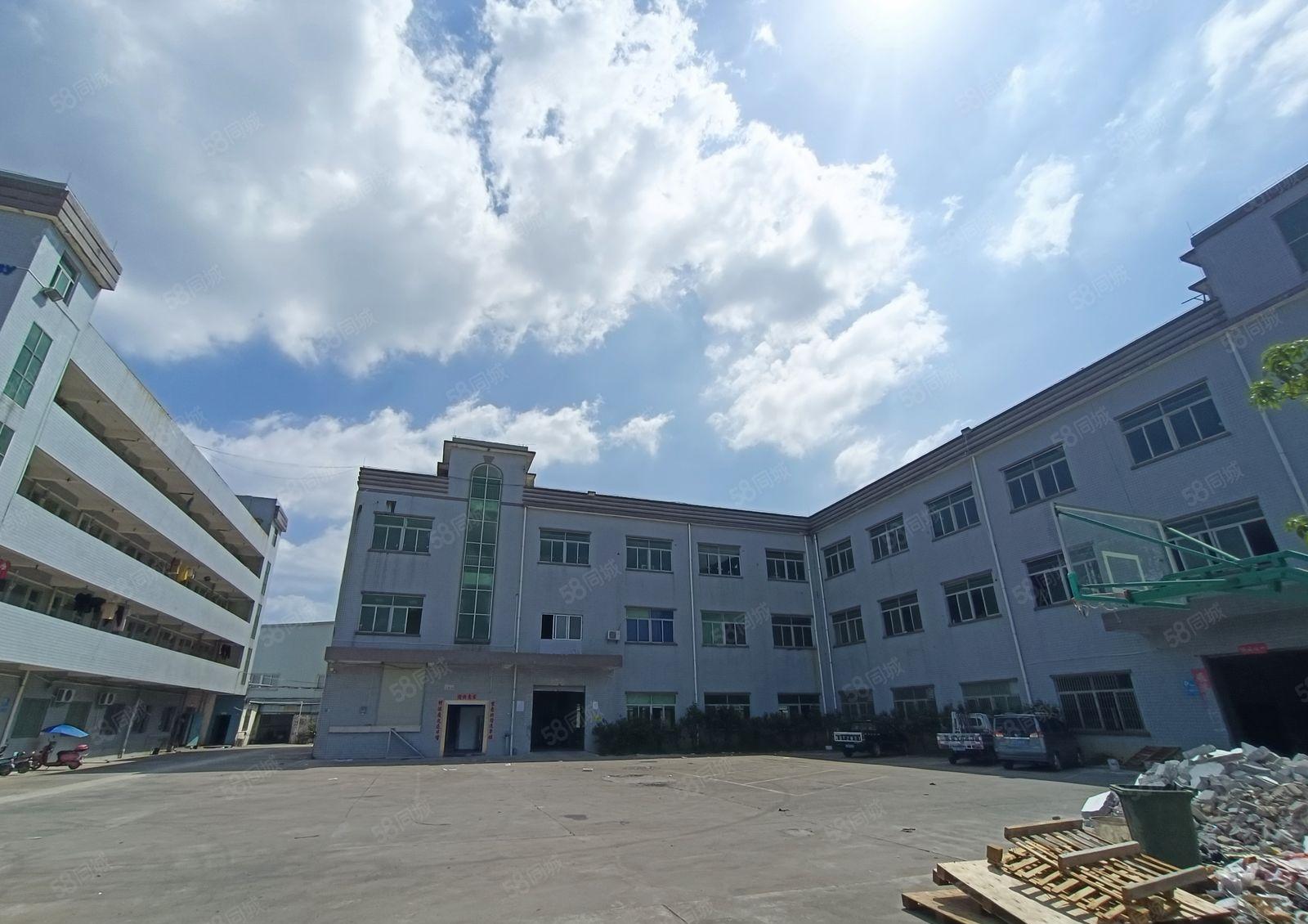 清溪谢坑新出标准一楼2000平带办公室，现成地坪漆，有消防喷