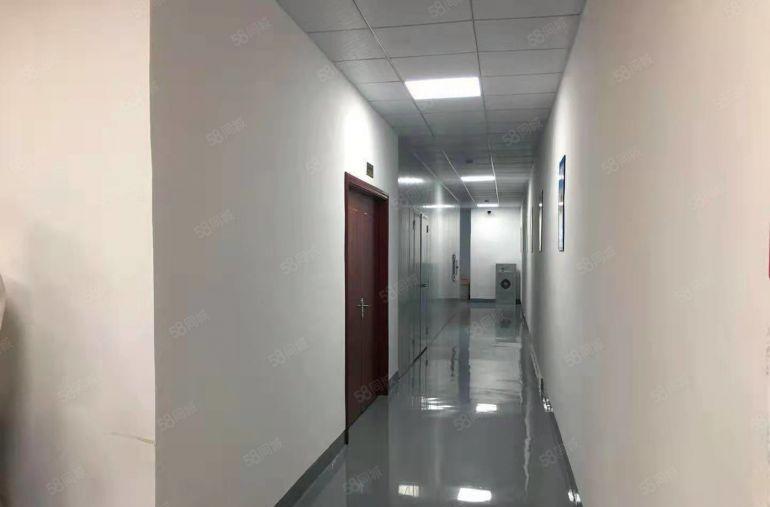 笋盘！清溪三中标准厂房楼上2000平带装修厂房仓库出租