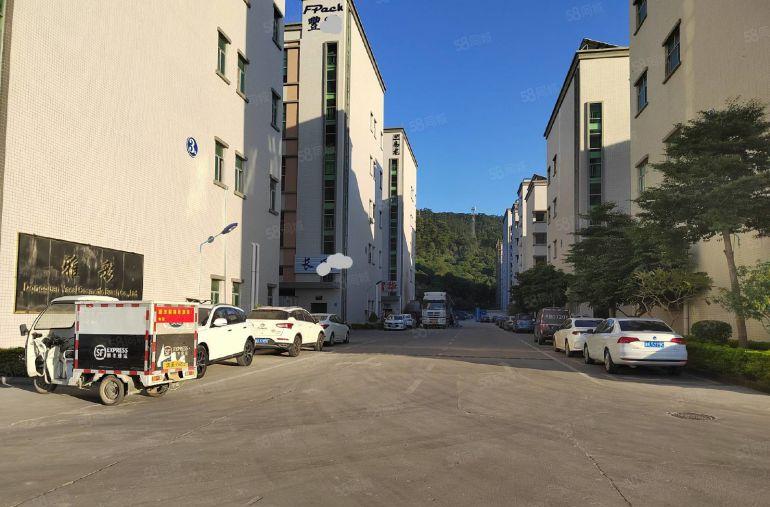 清溪三中新出成熟园区全新一楼厂房1200平低价出租 带牛角