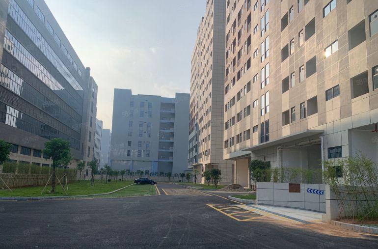 东莞市清溪镇铁松村原房东国有红本花园式标准厂房出租