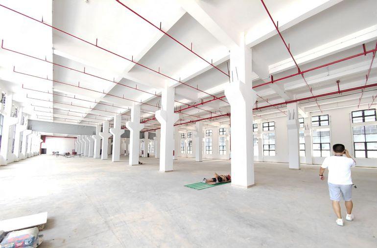 清溪镇原房东全新一楼3000平米厂房出租，带牛腿，层高7米