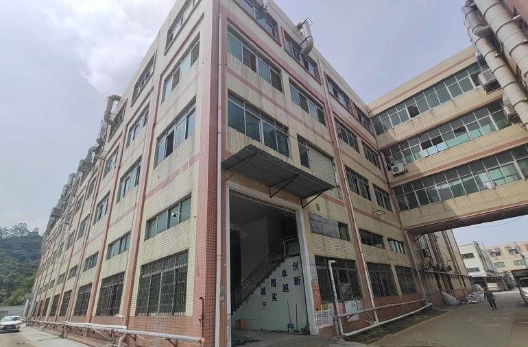 清溪工业园经典一楼2000厂房出租7米高带牛角位带前处理