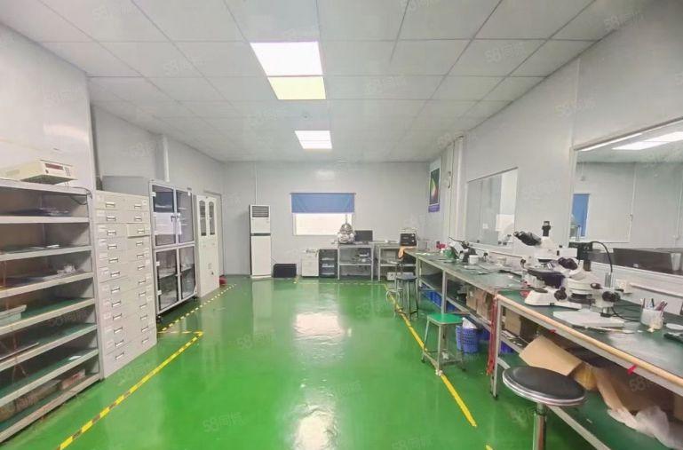 价格8元可谈原房东300平500平1000平清溪谢岗厂房出租