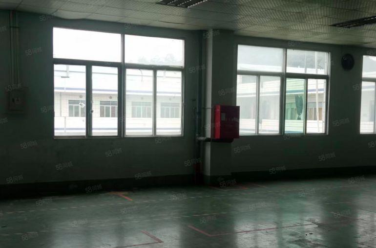 大型园区楼上新空出1300平，现成装修车间办公室，价格好谈！