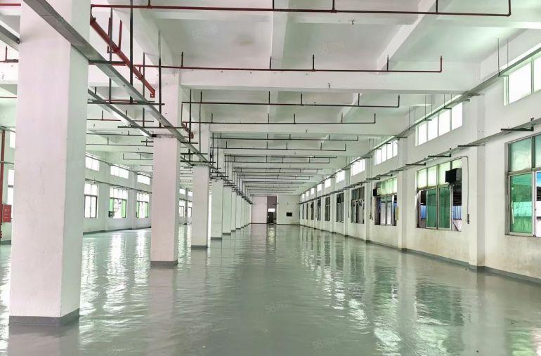 花园式标准一楼厂房出租面积5000平方顶高5.5米