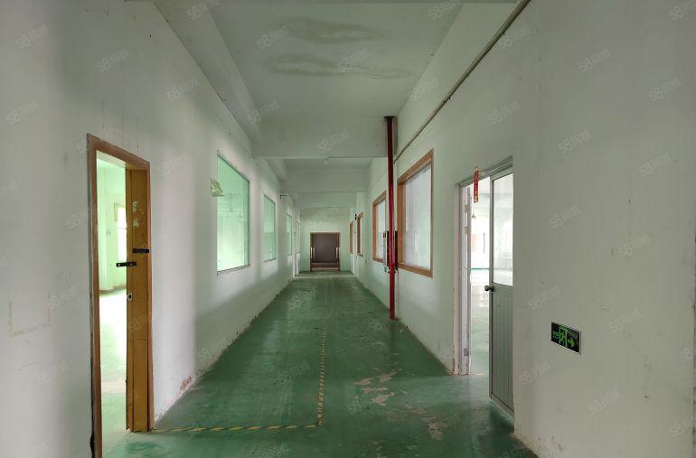 清溪镇土桥村 原房东标准独院4800平低价出租 带装修办公室