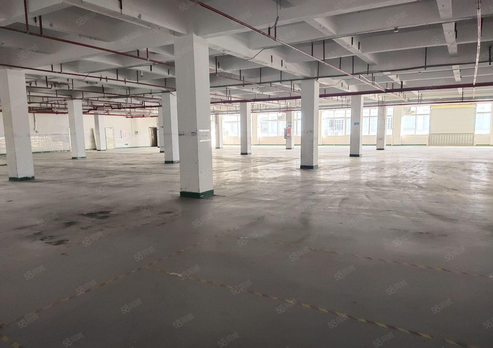 清溪上元工业区原房东楼上1600平红本标准仓库厂房出租可分租