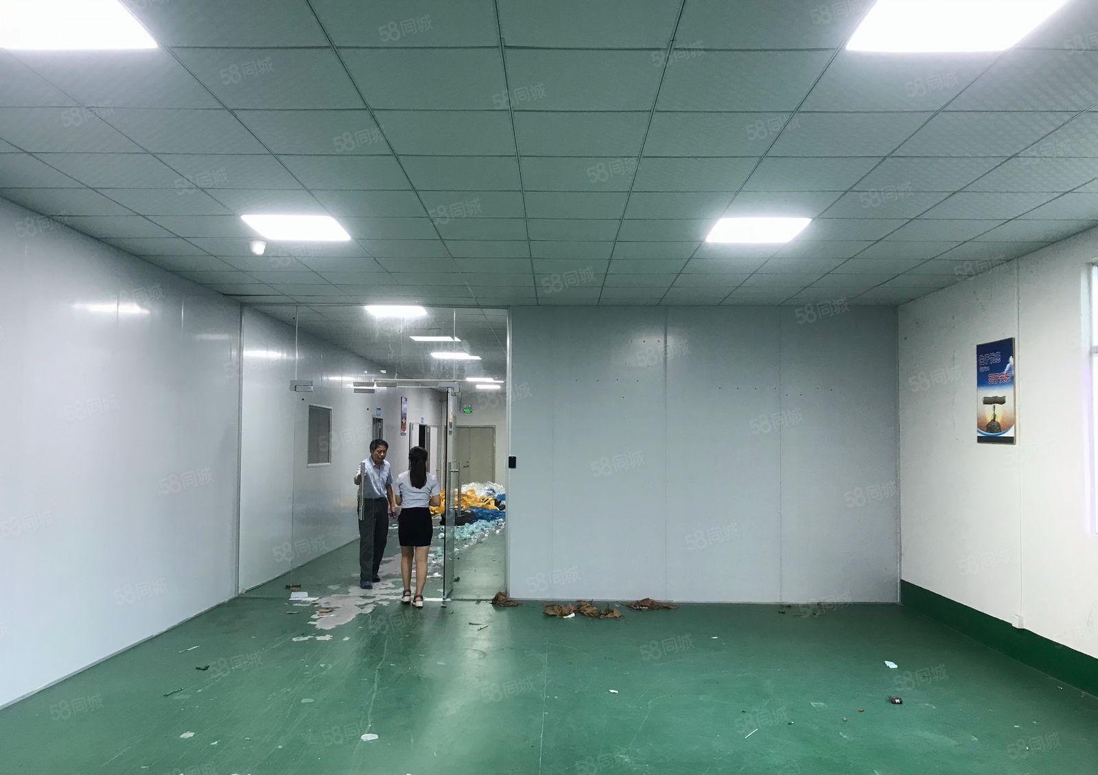 清溪镇谢坑村二楼一整层1300平出租，现成装修，可做电池