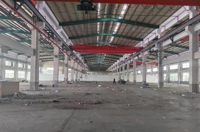 00平起租 清溪大利独栋单一层厂房6500平方 滴水12米高