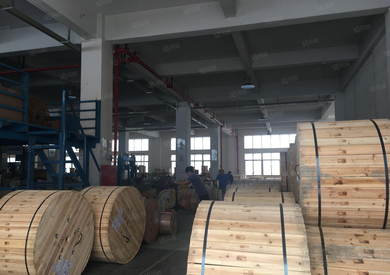 清溪金竹工业区独院3600平一楼仓库厂房出租可分租可办环评