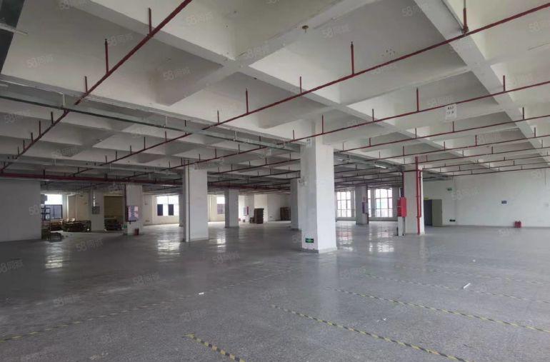 清溪高速口罗马新出原房东楼上3000平厂房仓库出租，拎包生产