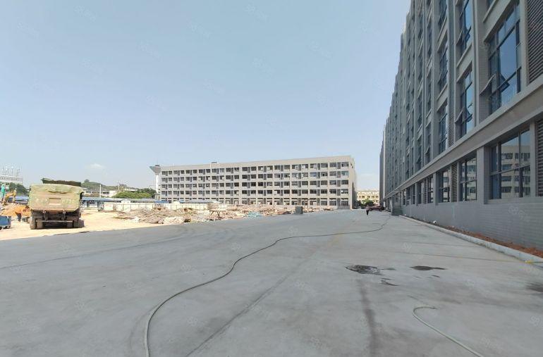 清溪厂房青皇超大空地全新厂房40000平出租可分租