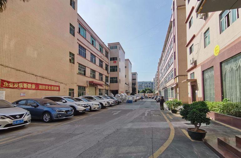 10起租清溪三中工业区厂房出租楼上500平起租厂房招租可分租