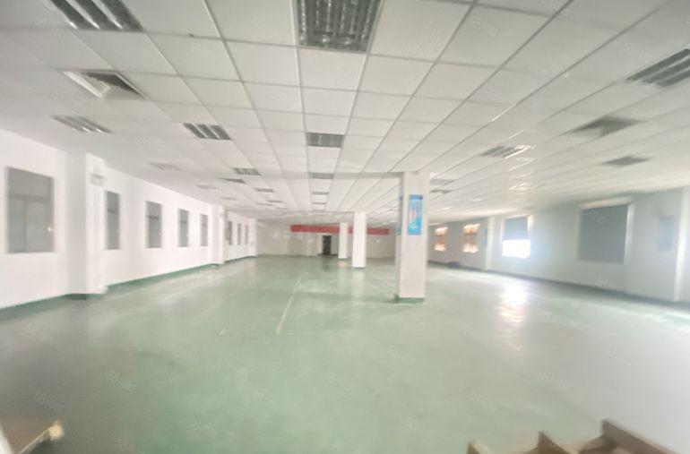 清溪原房东独院  适合电子制衣手袋五金模具家具等等