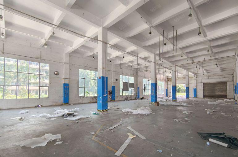 东莞清溪三中高速路口原房东独院13700平标准单一层厂房出租