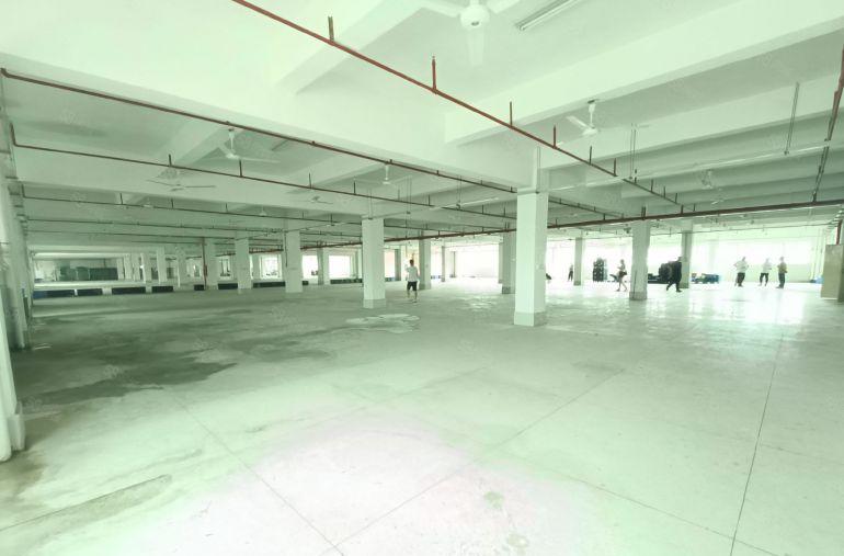 清溪镇三中村新出楼上3000平，精装修，俩台标准3顿货梯