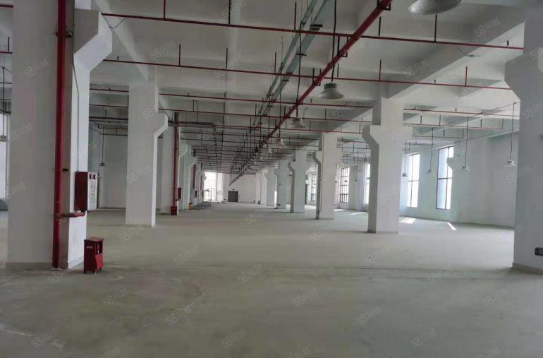 清溪三中新出原房东一楼2000平带牛角厂房仓库出租，大小分租