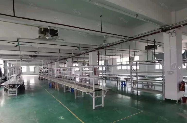 清溪三中新出原房东楼上1600平带装修厂房仓库出租，直接生产