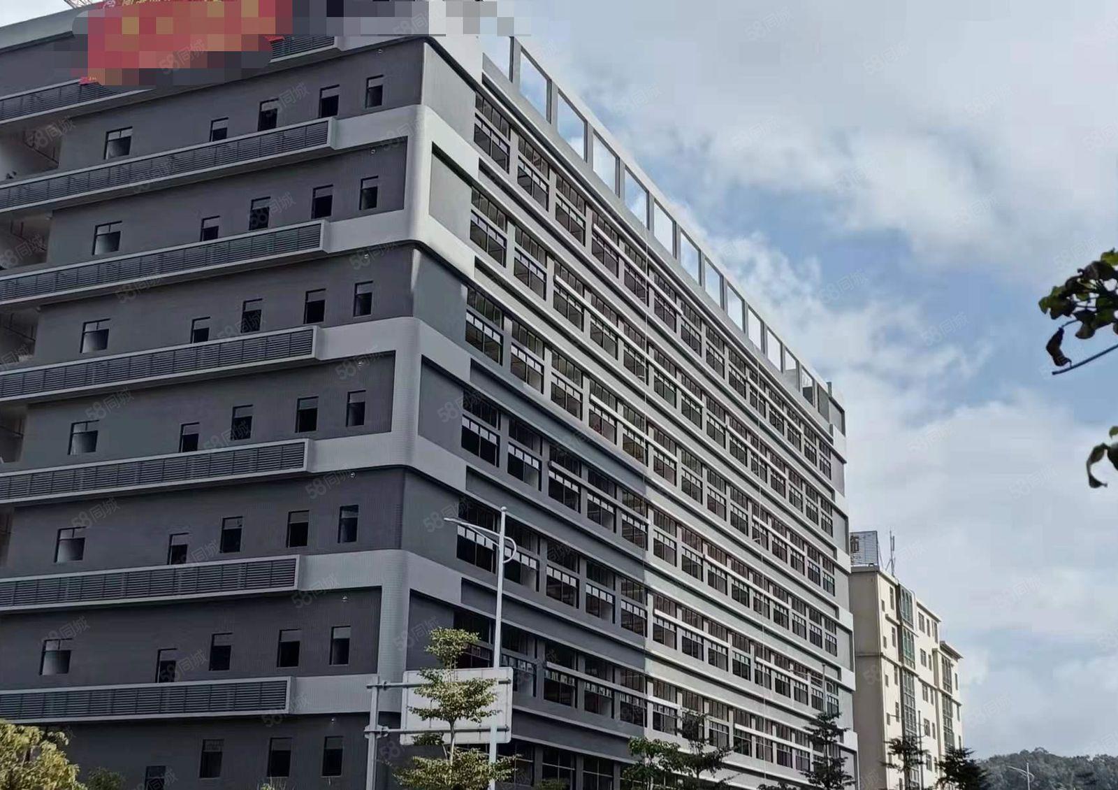 有红本，清溪原房东全新独院厂房出租4万平方，可分租