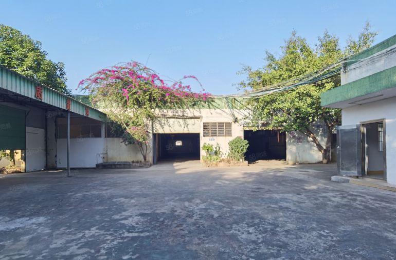 清溪1900平方独门独院砖墙单一层原房东厂房出租整租靠三中村