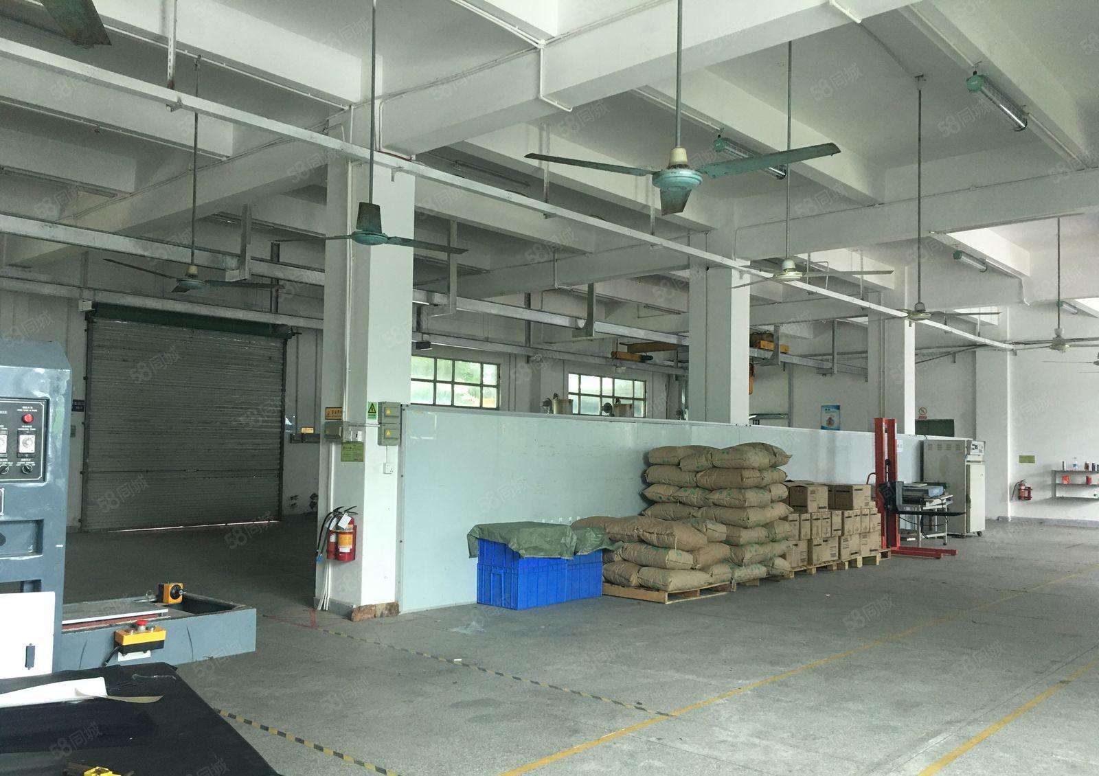 清溪三中工业区一楼2百5百8百1千平红本独院仓库厂房出租分租