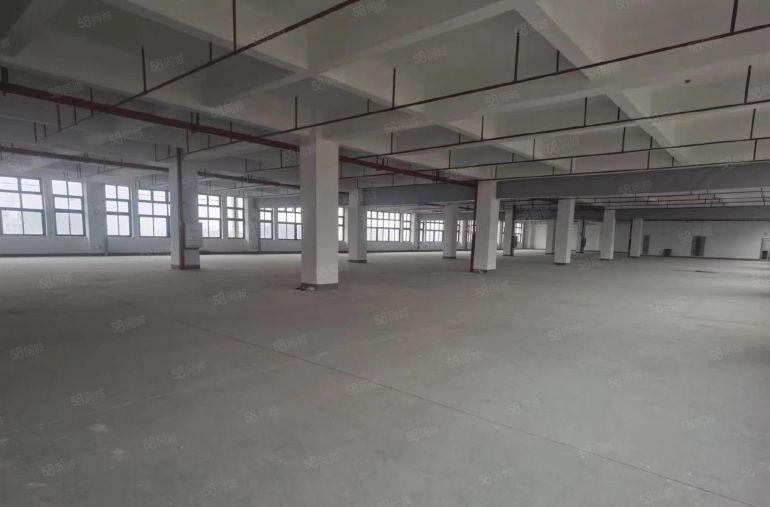 9元起租清溪20000平单层4000平厂房仓库出租,大小分租