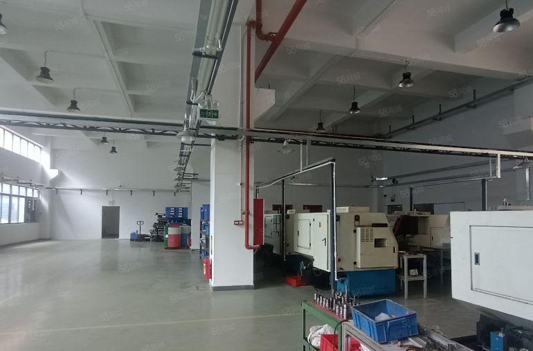 清溪靠塘厦新出一楼1000平层高7米带牛腿特价19元厂房出租