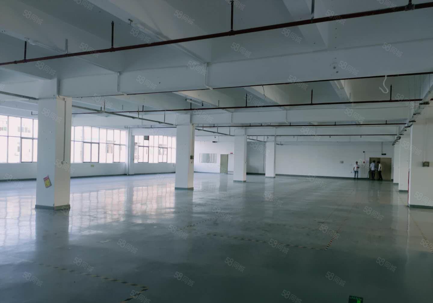 清溪大浦工业区原房东独院2000平红本楼上仓库厂房出租可分租