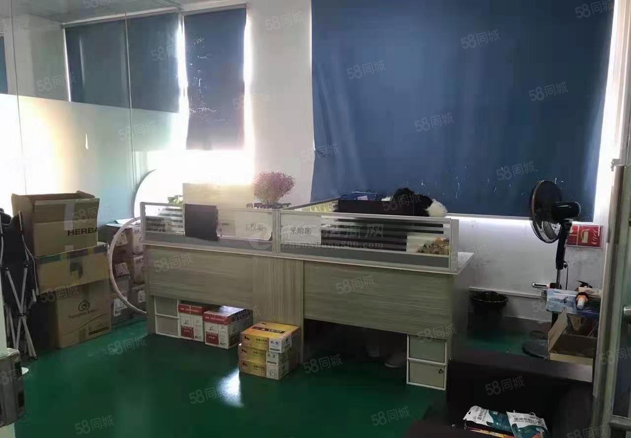 东莞清溪标准厂房2楼3楼4楼洁净无尘车间 现成主线 价格优惠