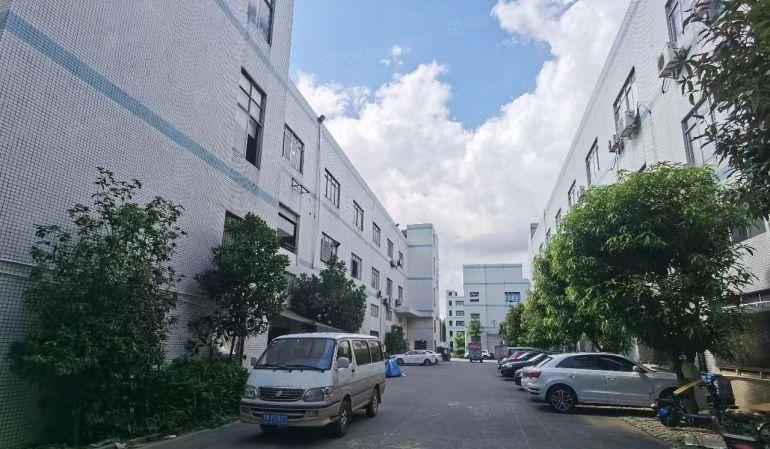 原房东0公摊直租！清溪三中新出7000平独门独院厂房仓库出租