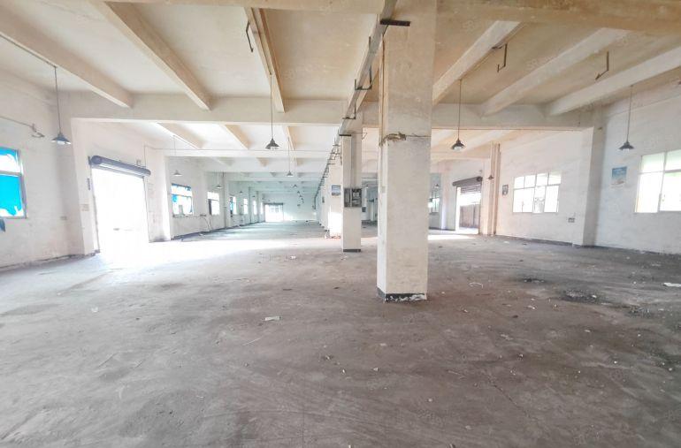 清溪厂房三中高速路口主干道旁独院厂房5500平出租