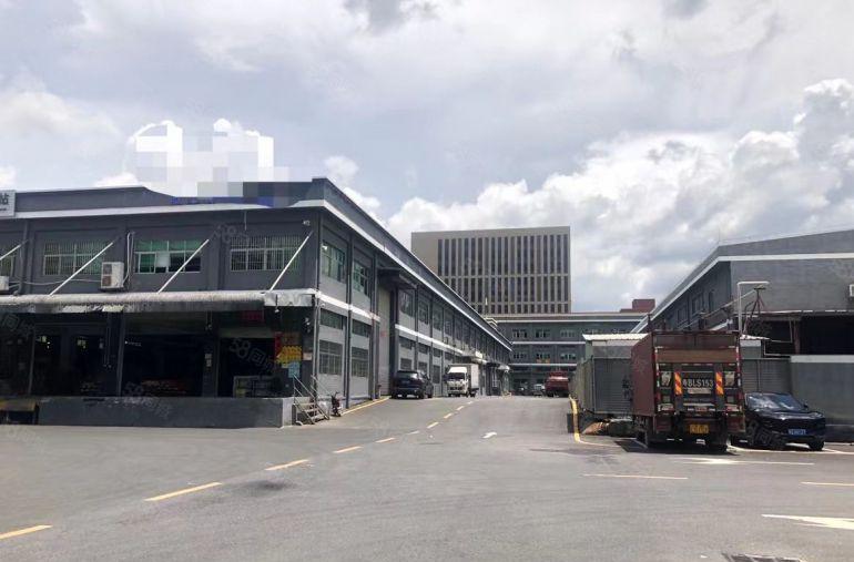 价格好谈15元清溪三中10米高单一层1000平起租带卸货平台