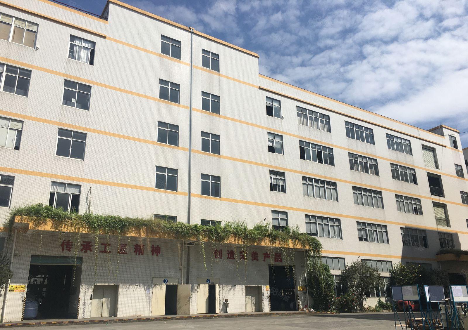 清溪金竹工业区独院3600平一楼仓库厂房出租可分租可办环评