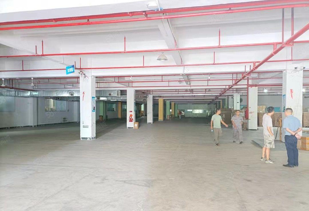 清溪镇新出物流仓7000平方出租，专用卸货平台，交通便利。