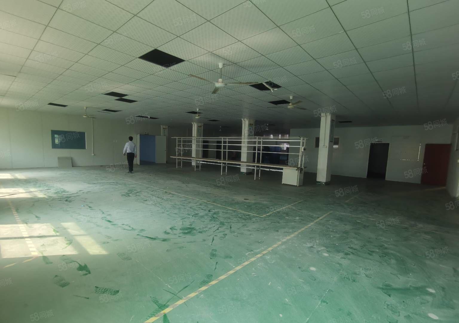 清溪镇三中村标准厂房二楼1200平方出租水电齐全精装修办公室