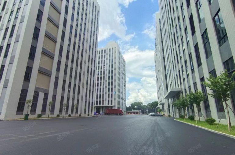 清溪青皇原房东单层1400和2600平大小分租