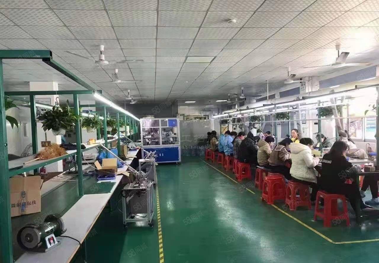 东莞清溪标准厂房2楼3楼4楼洁净无尘车间 现成主线 价格优惠