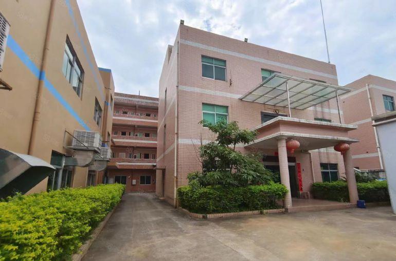 清溪三中原房东独院4862平5年不递增实际面积拎包生产出租