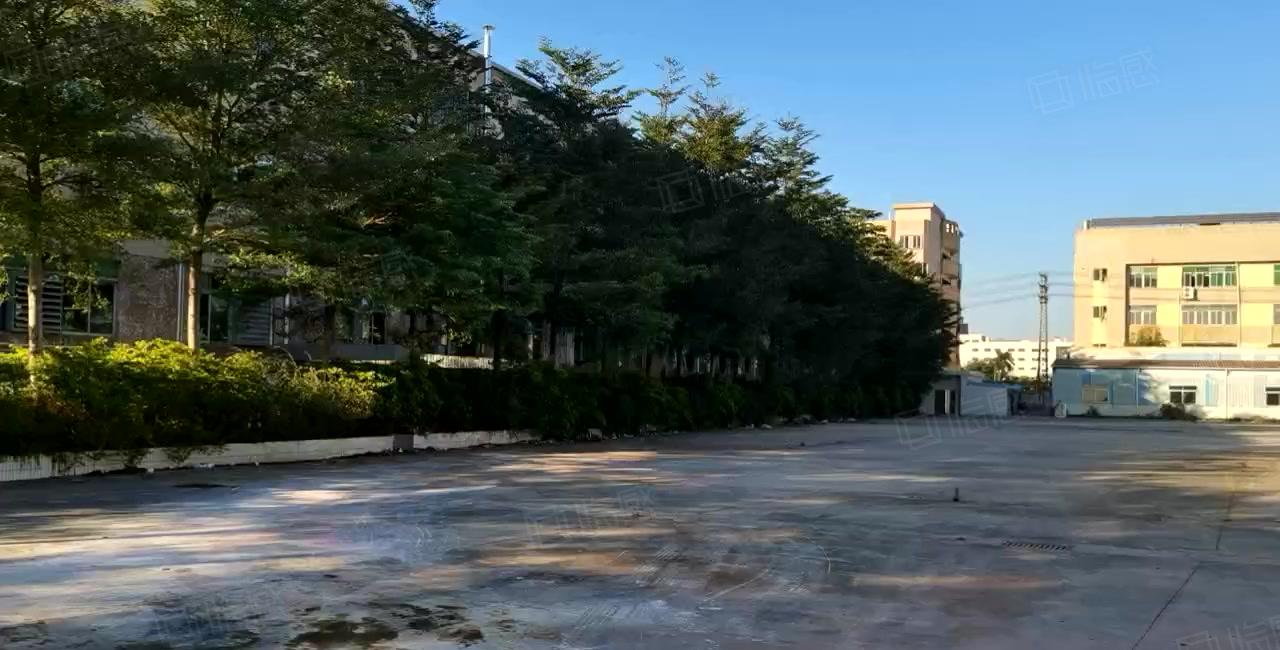 清溪三中高速出口新出独院厂房40000平出租可分租 空地超大