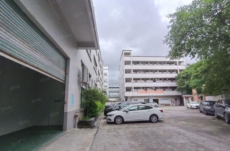 清溪原房东经典小独院形象好豪华装修无转让费证件齐全水电过户