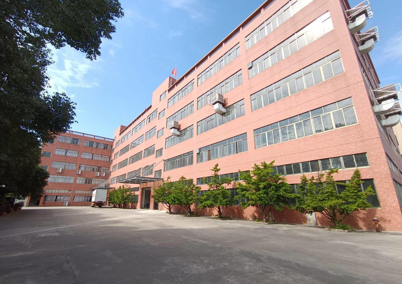 清溪镇原房东独门独院标准厂房出租，园区证件齐全，超大空地