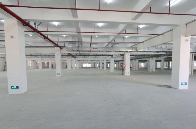 清溪镇3.3万平方全新原房东厂房出租建筑面积可做物流带平台