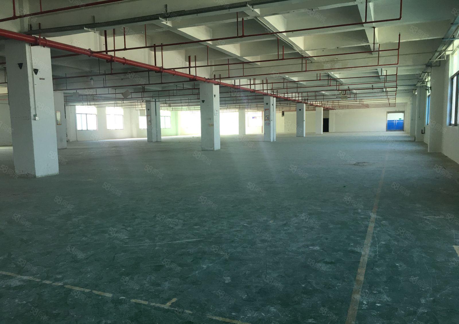 清溪大浦工业区一楼2百5百8百1千平独门独院仓库厂房出租分租