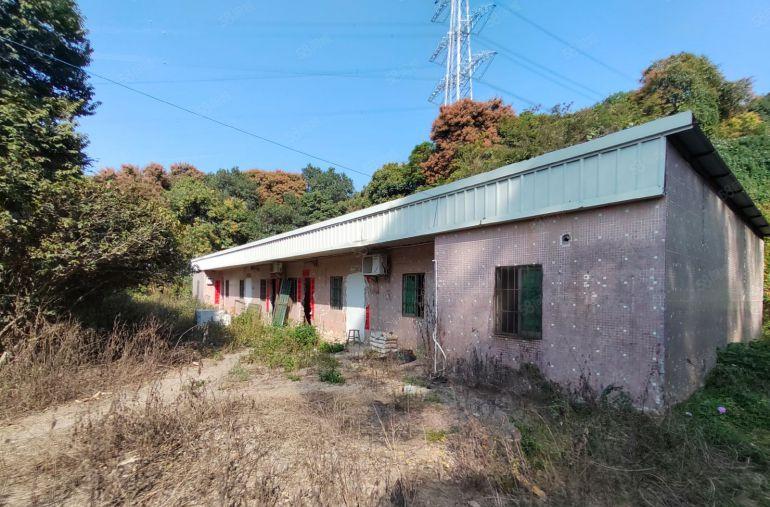 清溪镇三中村靠山边单一层独院1200平 带装修 滴水7米